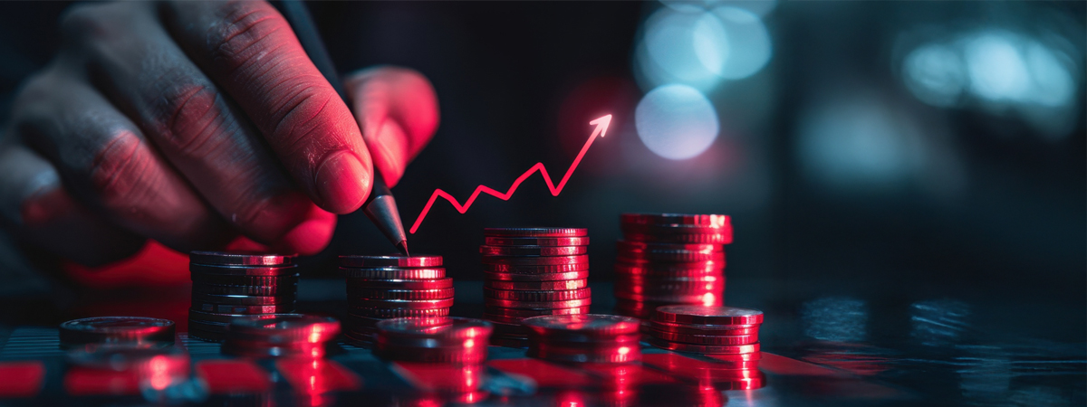 Capital Market Support